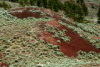 Red Rocks and Sagebrush at Spences Bridge